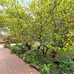בית נופש Piccolo Angolo Di Paradiso