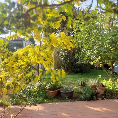 Tatil Evi Piccolo Angolo Di Paradiso