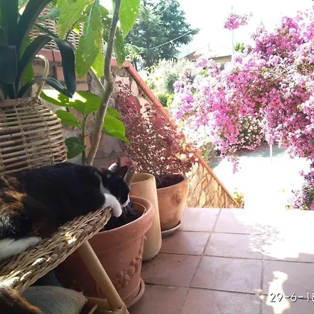 Piccolo Angolo Di Paradiso * Taggia