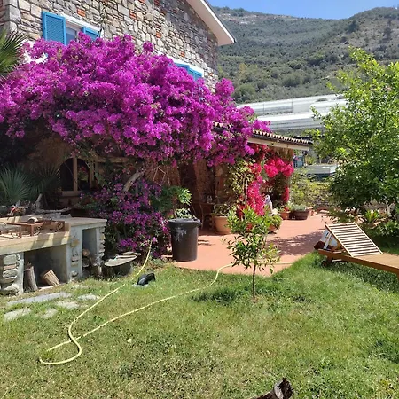 Piccolo Angolo Di Paradiso * Taggia