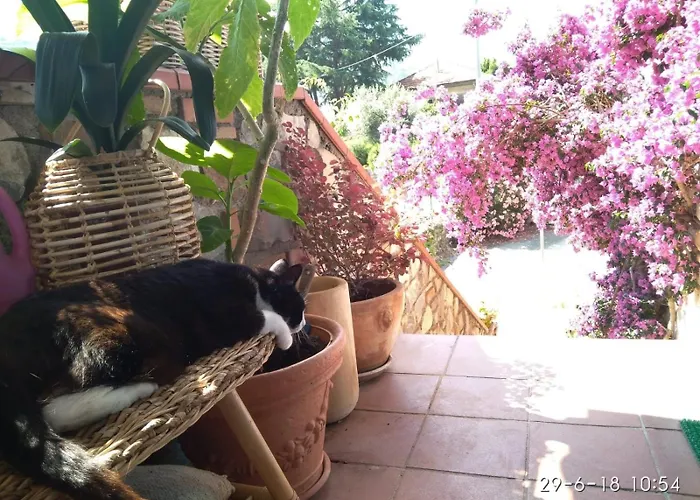 Piccolo Angolo Di Paradiso * Taggia